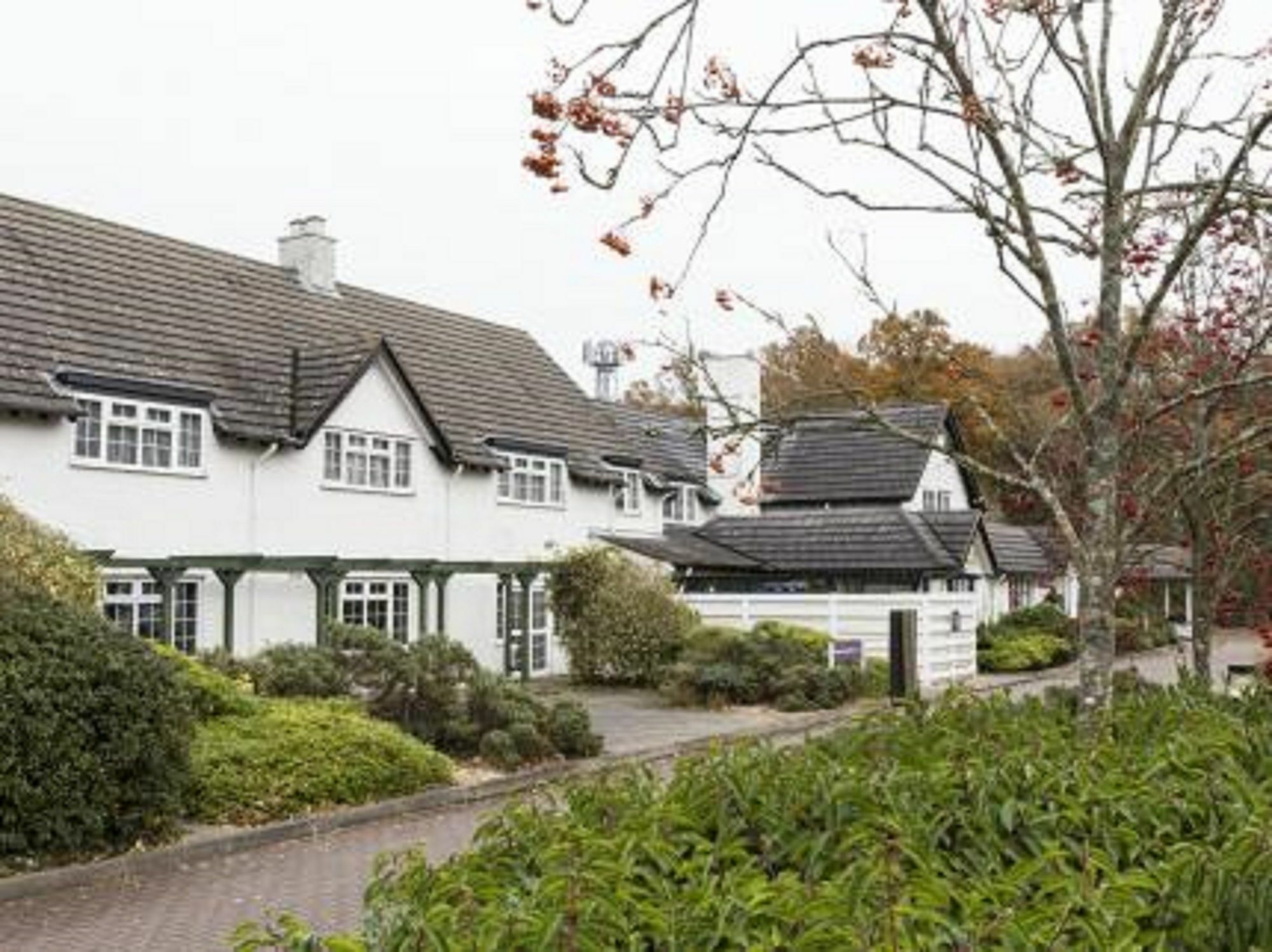 Basingstoke Country & 4*